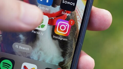 Instagram Is Quietly Adding a Super Helpful New Feature