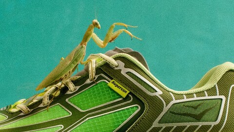 This Might Be Hoka’s Most Unique Sneaker Release to Date