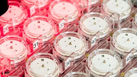 Your Next Swiss Watch May Be More Accurate. Here’s Why