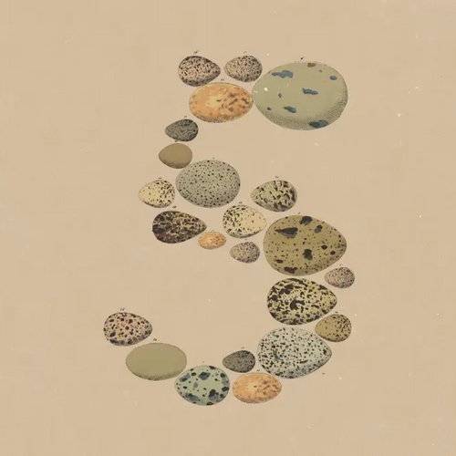 Claude Opus 5 Is Here, Tops Fable 5 on Agentic Search, Anthropic Says
