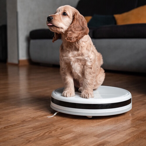Survey Ends Sunday: Rate Your Vacuum, Mop, or Combo Bot