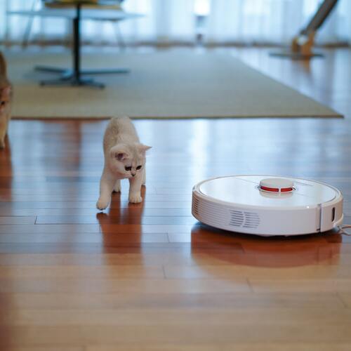 It's Scrubbin' Time: Rate Your Robot Vacuums and Mops