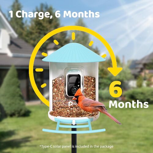 Save $110 on the NETVUE by Birdfy AI Smart Bird Feeder