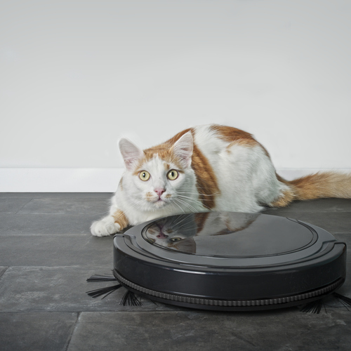 Cleaning Time: Rate Your Robot Vacuums and Mops