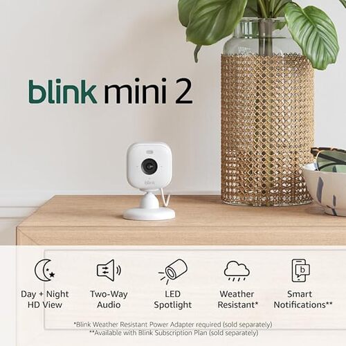 Save 55% on the Blink Mini 2 Home Security & Pet Camera
