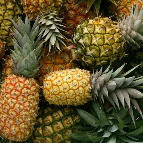 Does pineapple really make your cum taste better? An investigation.