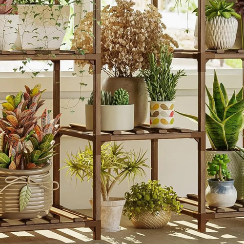 Walmart is having a huge sale on live plants and planters