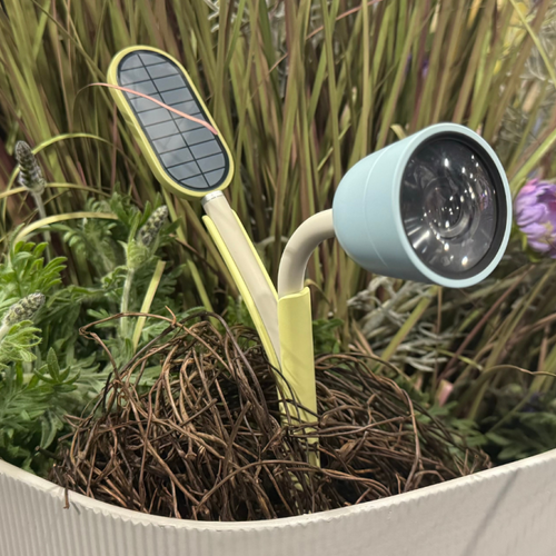 CES 2025: This AI nature camera wants you to be besties with your backyard plants