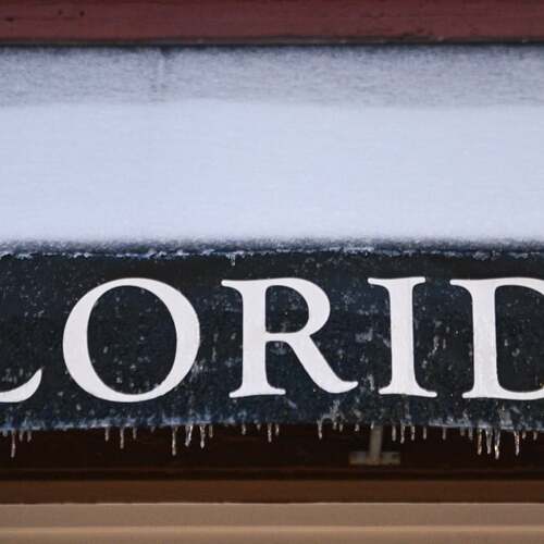 Florida snow looks otherworldly. See the wildest photos on social media from the winter storm