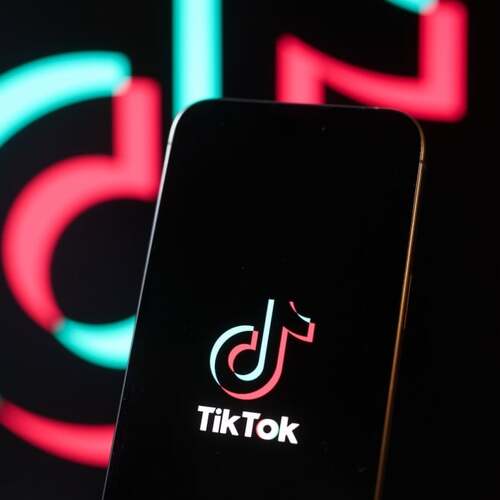 TikTok's biggest trends in 2024, from brat summer to a Moo Deng in finance