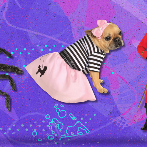 Best Halloween deal: Stock up and save 20% when you buy 3 Halloween goodies at Amazon