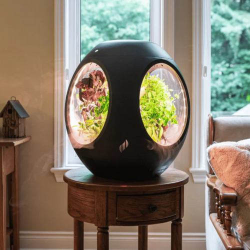 The Plantaform smart indoor garden uses NASA tech to grow plants with fog