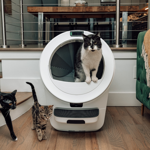 Litter-Robot 5 release date: How to pre-order the 3 new automatic litter boxes