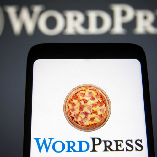 WordPress.org's login page demands you pledge loyalty to pineapple pizza