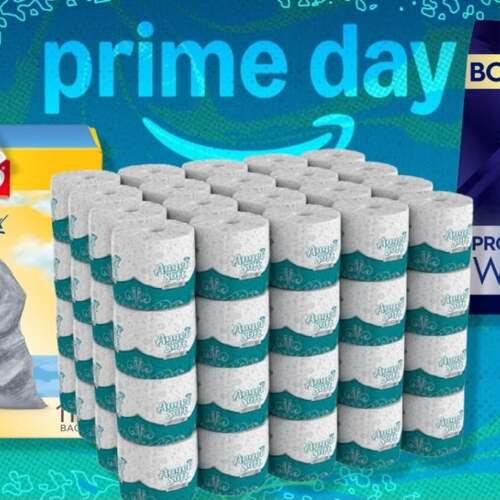 Best October Prime Day deals on boring but important household essentials: Toilet paper, cleaning supplies, and more