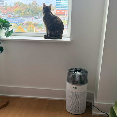 Dyson HushJet review: I can confirm that this is the ideal air purifier for small spaces and lazy people