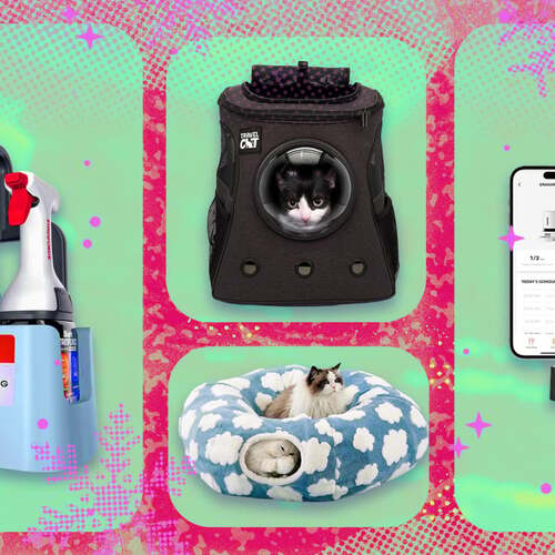 35+ gift ideas for pet parents: Viral toys, smart feeders, cool pet furniture