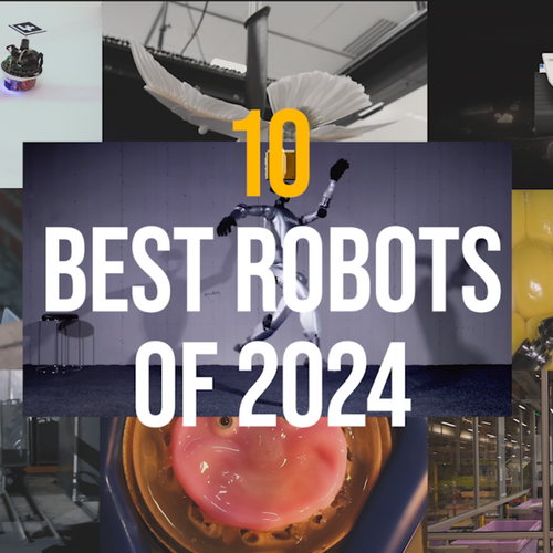 The 10 best robots of 2024