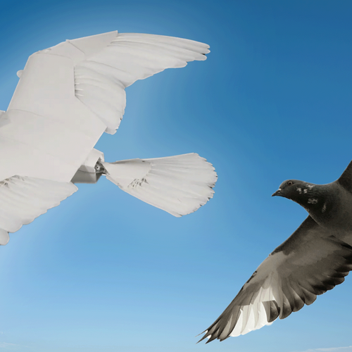 A pigeon-like robot could help improve aviation