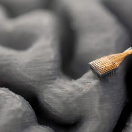 Brain-Computer Interface Helps Paralyzed Man 'Speak' Naturally
