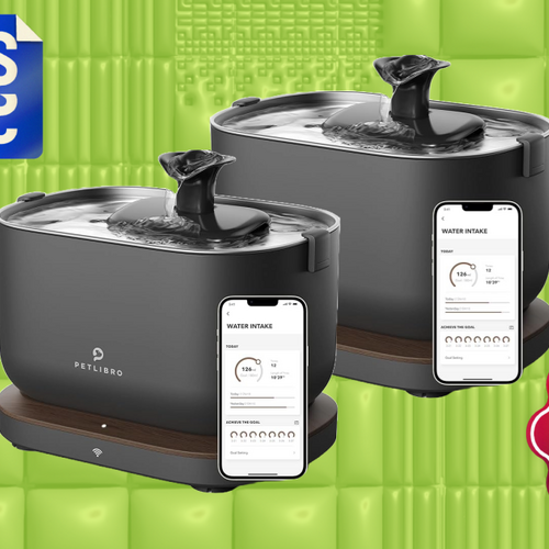 A Deal That's the Cat's Meow: 43% Off an App-Connected Water Fountain for Felines
