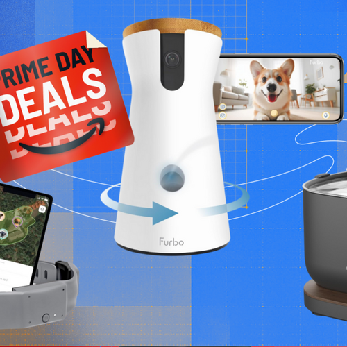 Go and Fetch Some of the Best Prime Day Deals for Your Pets