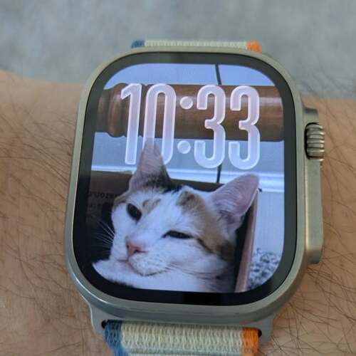 Apple's watchOS 26 Beta Makes the Cat Pics on My Watch Face Look Even Cuter