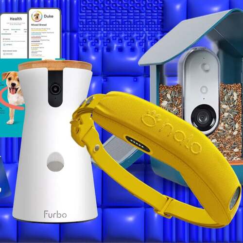 Amazon Pet Day Tech Deals Worth Barking About: Cameras, Feeders, Trackers, More
