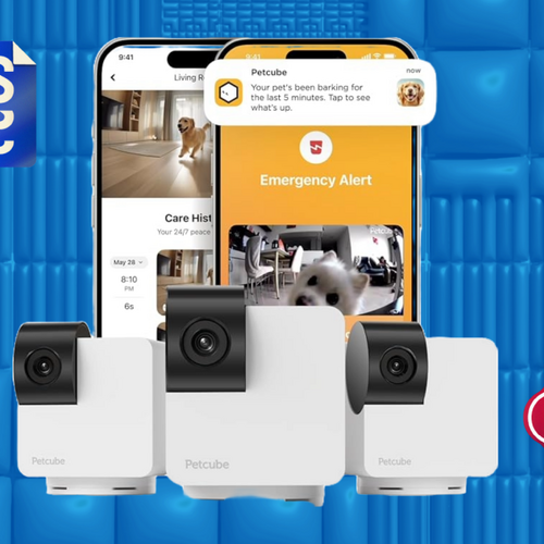 Go Fetch 20% Off a 3-Pack of Petcube Cameras