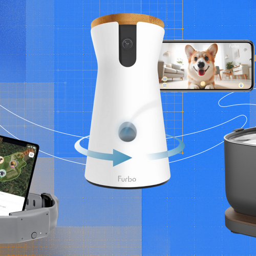 Go and Fetch Some of the Best Early Prime Day Deals for Your Pets