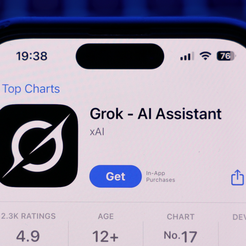 Elon Musk's Grok App Gets New AI Companions, and They're Mischievous