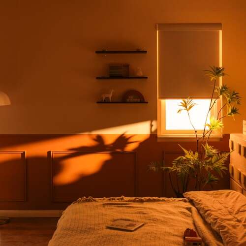 SmartWings Motorized Roller Shades: Let the Sunshine in on Command