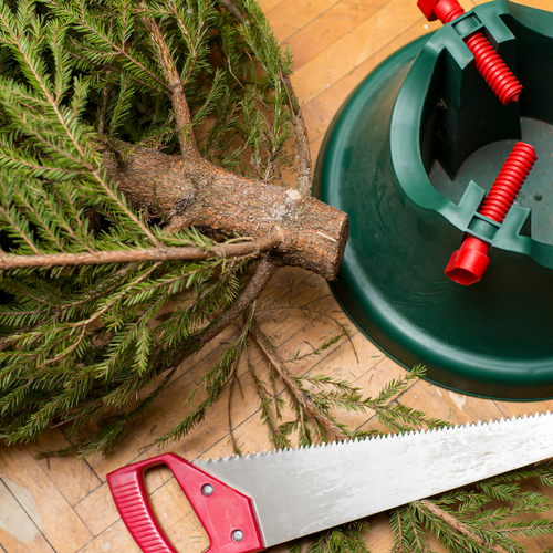 How to Make Your Christmas Tree Last as Long as Possible