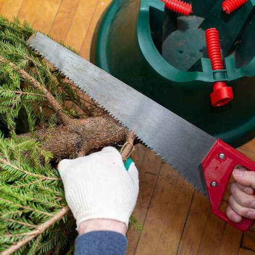 These ‘Hacks’ Will Actually Dry Out Your Christmas Tree Faster