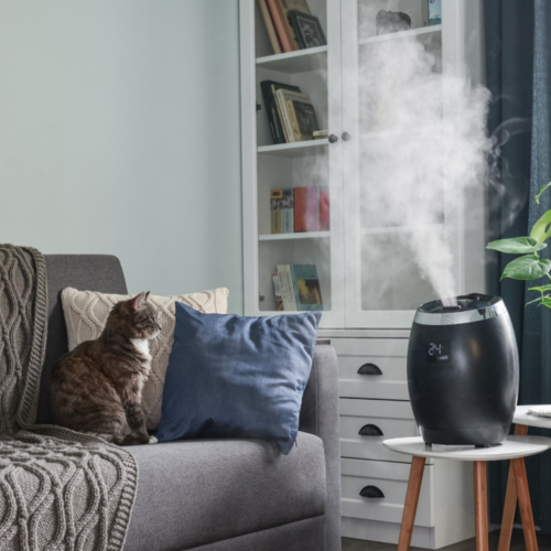 You Need to Clean Your Humidifier More Than You Think