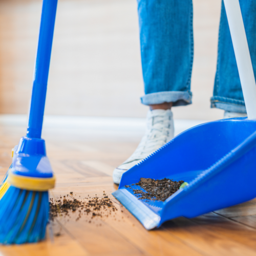 You Need a Better Broom (and Here Are Six to Choose From)