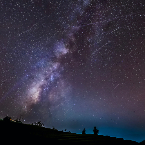 How to Catch the Leonid Meteor Shower This Weekend