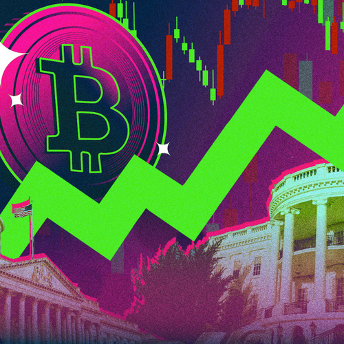 Why Bitcoin, Bank Stocks, and More Are Surging After Trump's Win