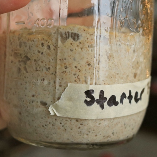 A Guide to Troubleshooting Your Sourdough Starter