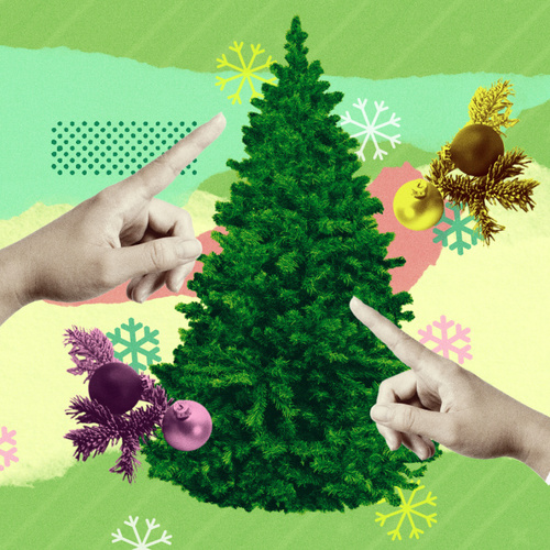 How to Choose the Best Christmas Tree for Your Home