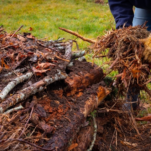 Why Your Garden Needs a 'Hugelkultur' Bed (and How to Make One)