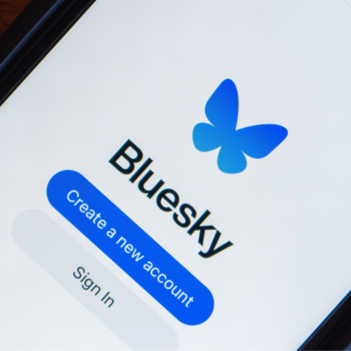 Here's What a Paid Bluesky Subscription Might Look Like