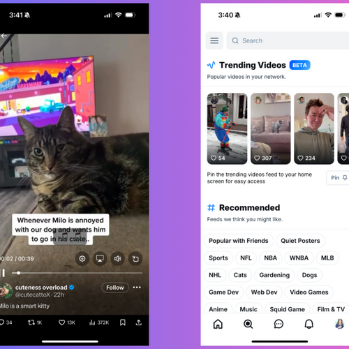 Bluesky and X Just Launched TikTok-Style Video Feeds