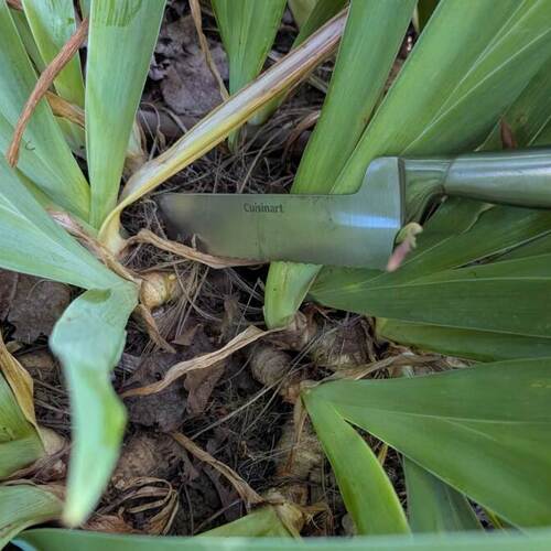 These Nine Household Items Make Great Garden Tools