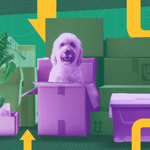 How to Move the Stuff You're Worried Movers Won’t Touch