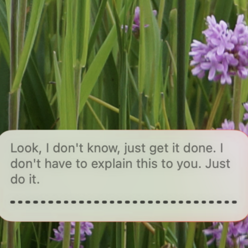 This Free Mac App Combines Several AI Transcription Tools