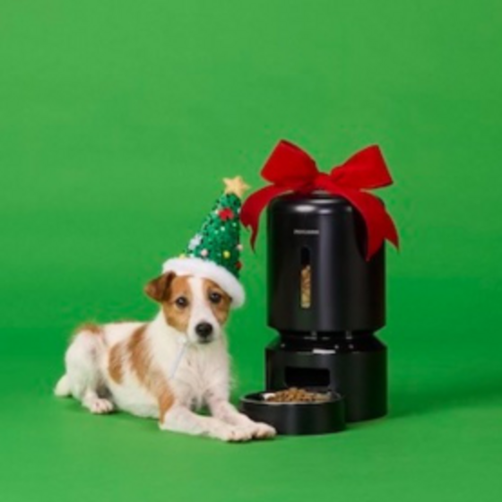 Don't Forget Your Pets: Stock Up on Treats, Toys and More