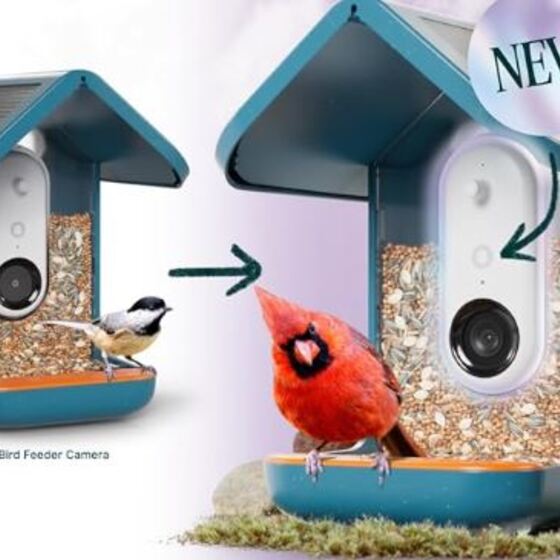 Bird Buddy Smart Feeder Pro