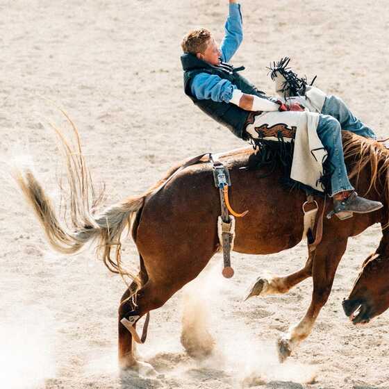 How these proposed standards aim to tame our AI wild west